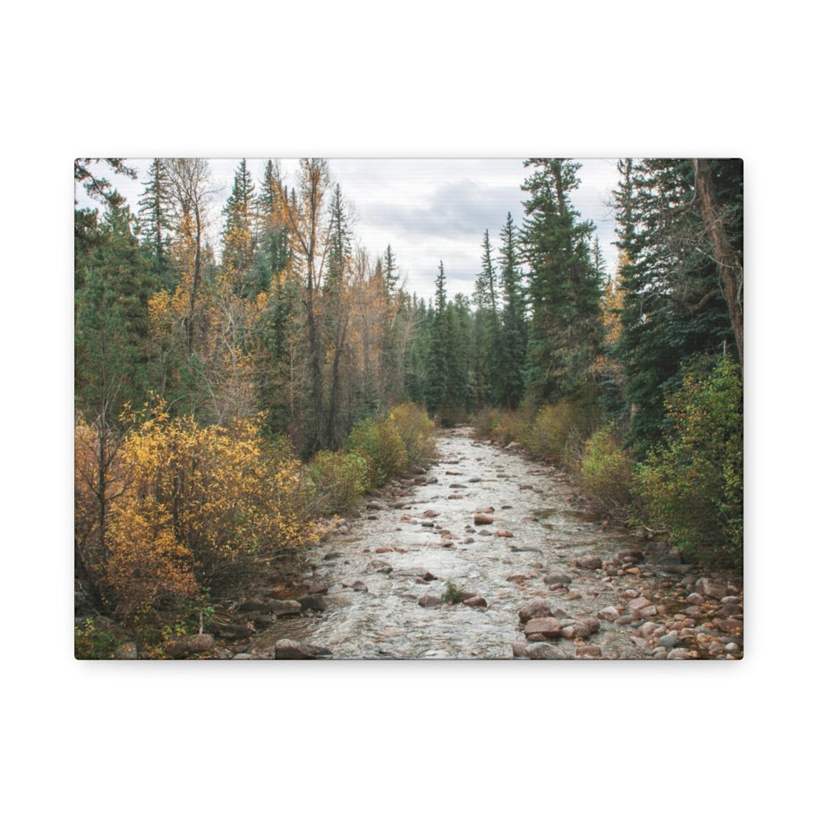 Autumn River in Colorado – Matter Leinwanddruck – fertig zum Aufhängen