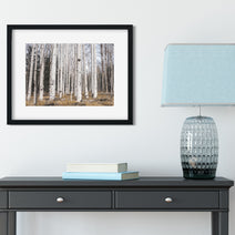 Aspen Forest Photo Print Trees of Reason Flagstaff Wall Art