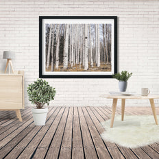 Aspen Forest Photo Print Trees of Reason Flagstaff Wall Art