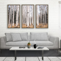 Birch Forest Triptych Large Canvas Wall Art or 3 Prints -