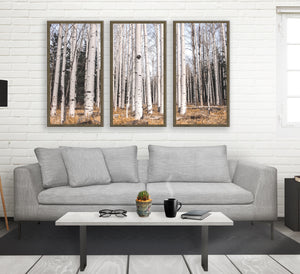 Birch Forest Triptych Large Canvas Wall Art or 3 Prints -