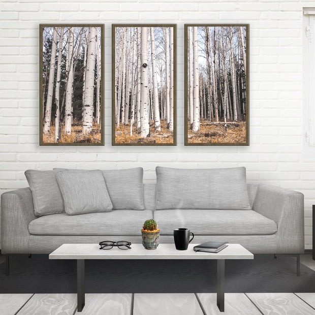 Birch Forest Triptych Large Canvas Wall Art or 3 Prints -
