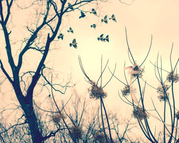 Birds in Flight Dreamy Fine Art Print - Photography