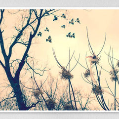 Birds in Flight Dreamy Fine Art Print - Photography