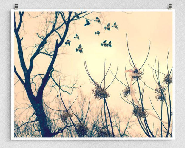 Birds in Flight Dreamy Fine Art Print - Photography