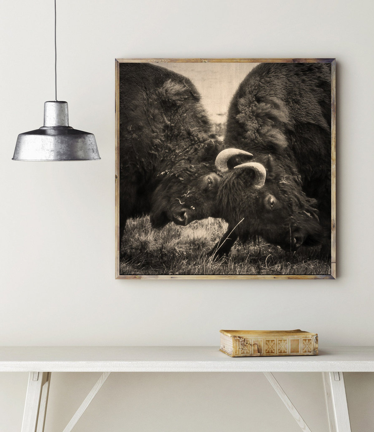 Bison Battle, Fine Art Wildlife Photography Lost Kat Photography