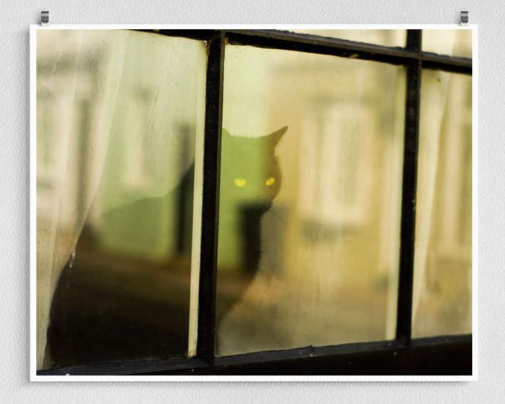 Black Cat Window - British Cats Series Print Lost Kat Photography