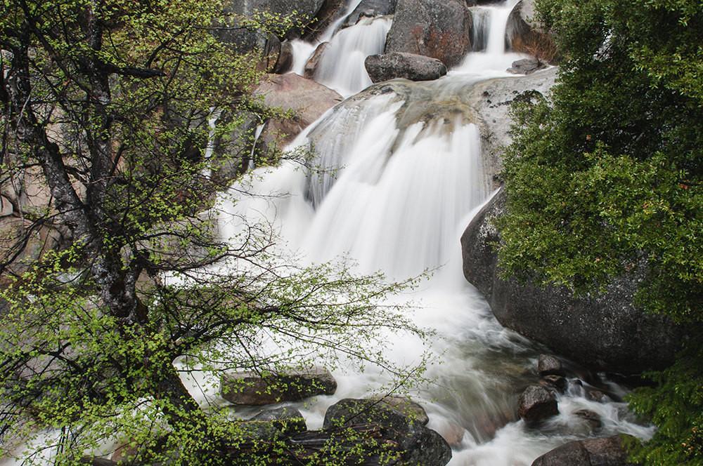 Bridal Veil Waterfall Yosemite Wall Art Print - Photography
