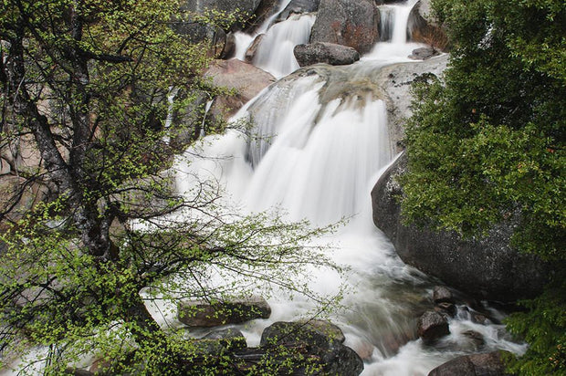 Bridal Veil Waterfall Yosemite Wall Art Print - Photography
