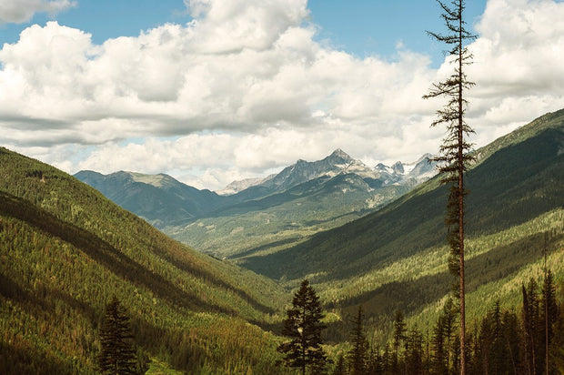 British Columbia, Slocan Mountains, Canada, Fine Art Print Lost Kat Photography