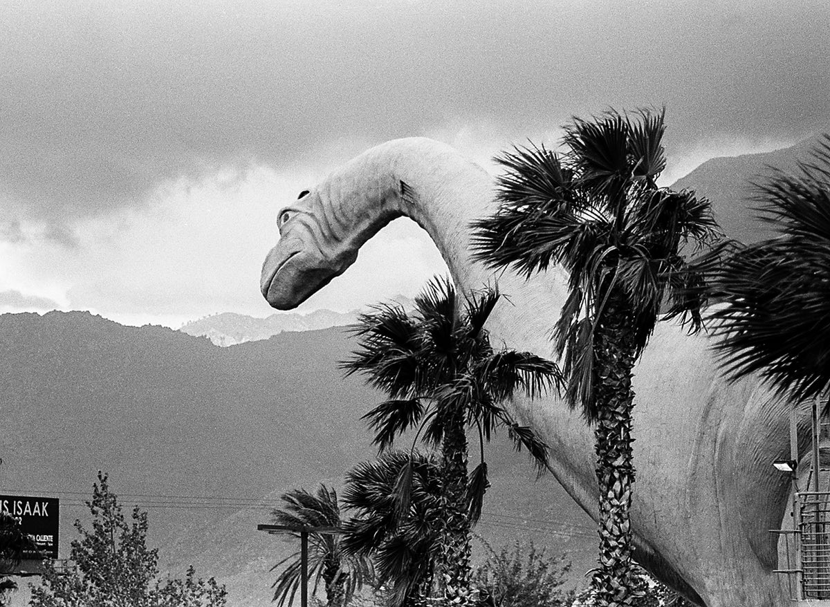 Cabazon Dinosaurs Brontosaurus, Southern California Photo Print