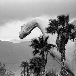 Cabazon Dinosaurs Brontosaurus, Southern California Photo Print