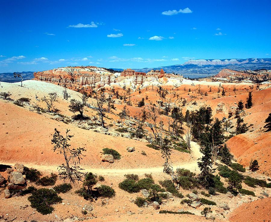Bryce Canyon Utah Nature Photography