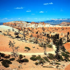 Bryce Canyon Utah Nature Photography