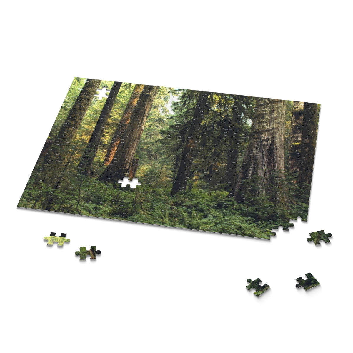 Pacific Northwest Forest Jigsaw Puzzle 252 or 500 Piece -