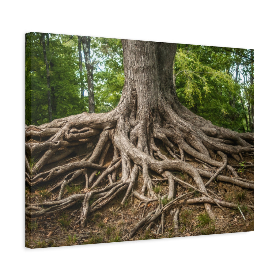 Impression sur toile mate « Racines de l'arbre de vie » - Prêt à accrocher