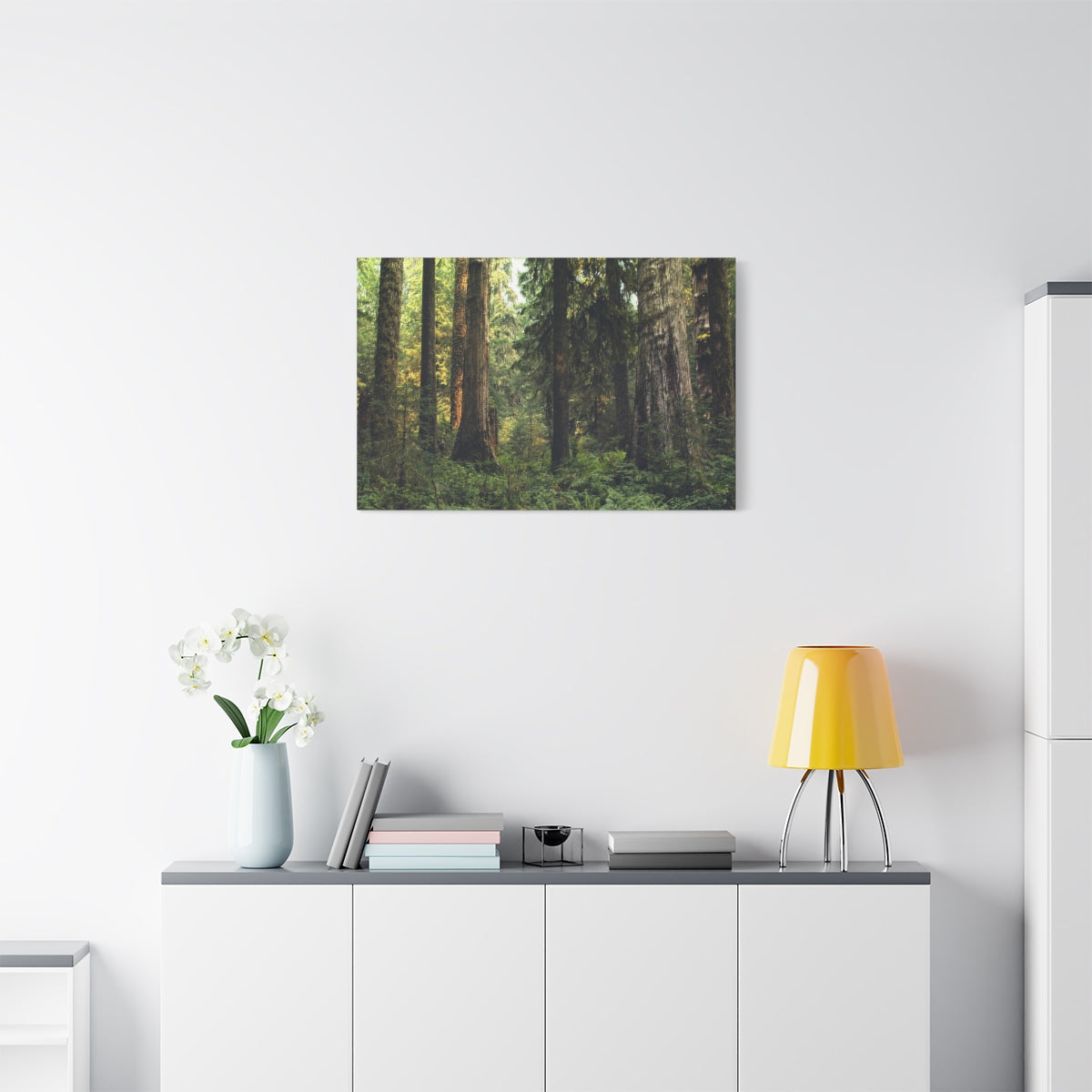 Olympic National Forest Matte Canvas Print - Ready to Hang Art