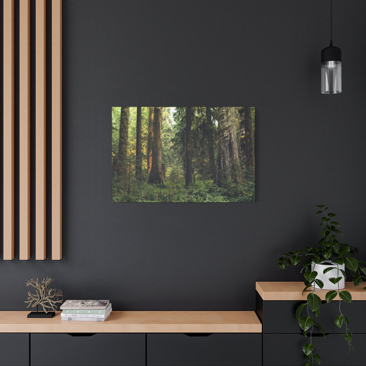Olympic National Forest Matte Canvas Print - Ready to Hang Art
