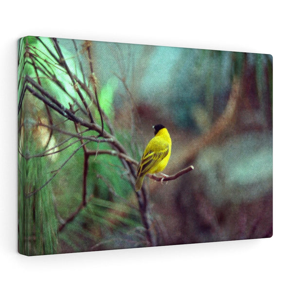 Yellow Bird Canvas Gallery Wraps Colorful Film Photography -