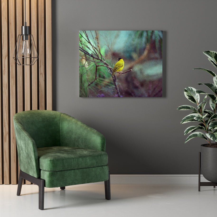 Yellow Bird Canvas Gallery Wraps Colorful Film Photography