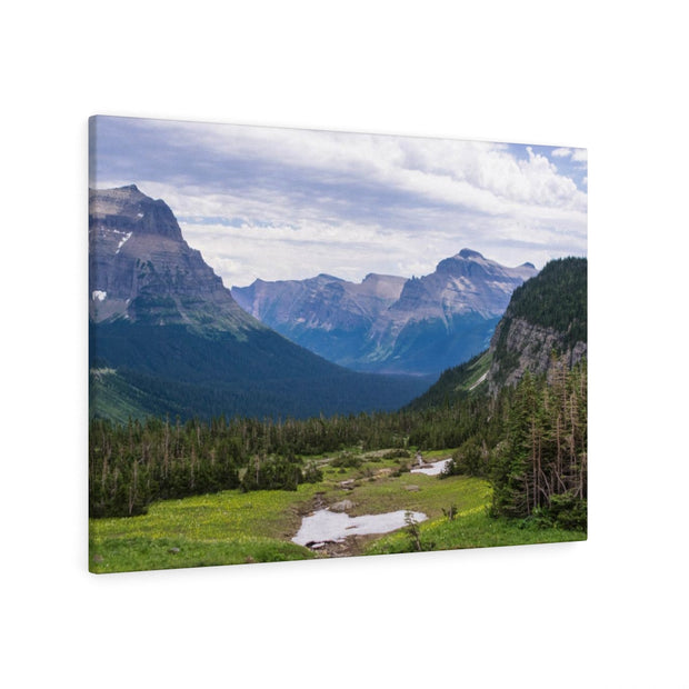 Logan Pass Glacier National Park Canvas Gallery Wrap