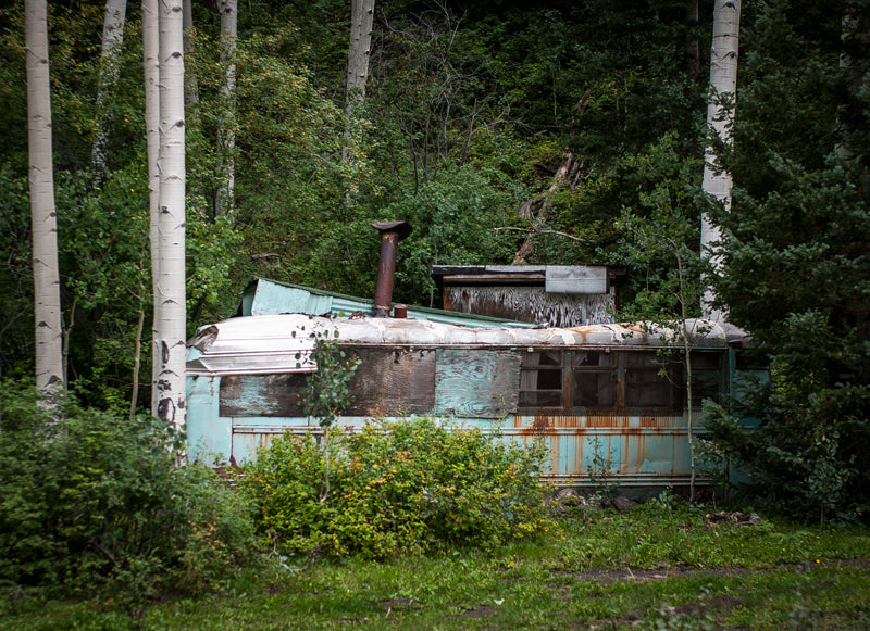 Homemade Cabin in the Woods, Colorado Photography Print