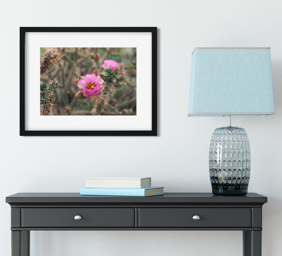 Rose Pink Cactus Bloom Desert Wall Art Print - Photography