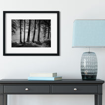Glacial Lake Shore Montana Black and White Photo Print -