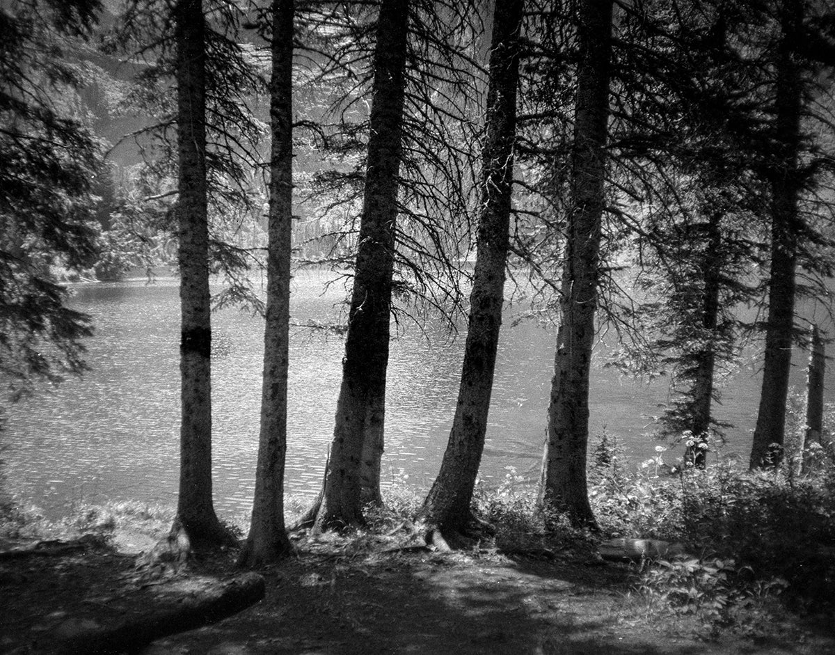 Glacial Lake Shore Montana Black and White Photo Print -