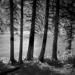 Glacial Lake Shore Montana Black and White Photo Print -