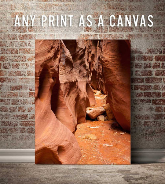 Canvas Print - Any Photo in the Shop as a Gallery Wrap - FREE US SHIPPING! Lost Kat Photography