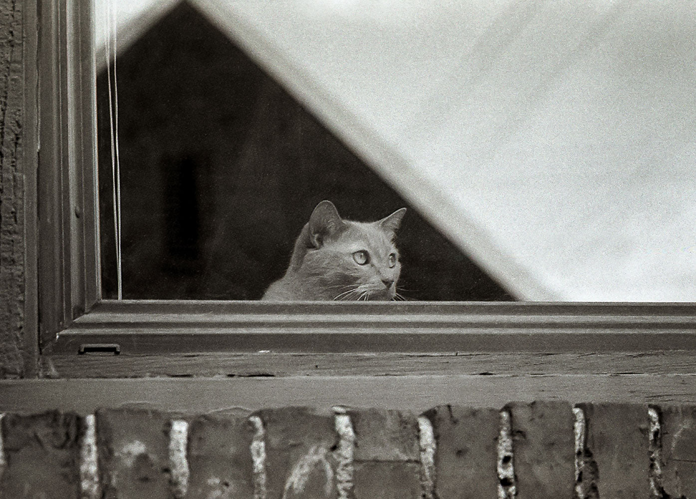 World Watcher Black and White Photo Print Spokane Washington