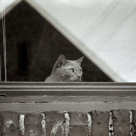 World Watcher Black and White Photo Print Spokane Washington