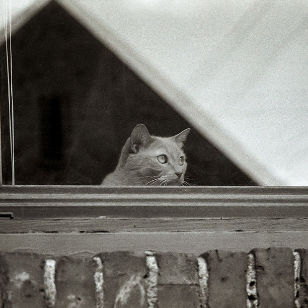 World Watcher Black and White Photo Print Spokane Washington