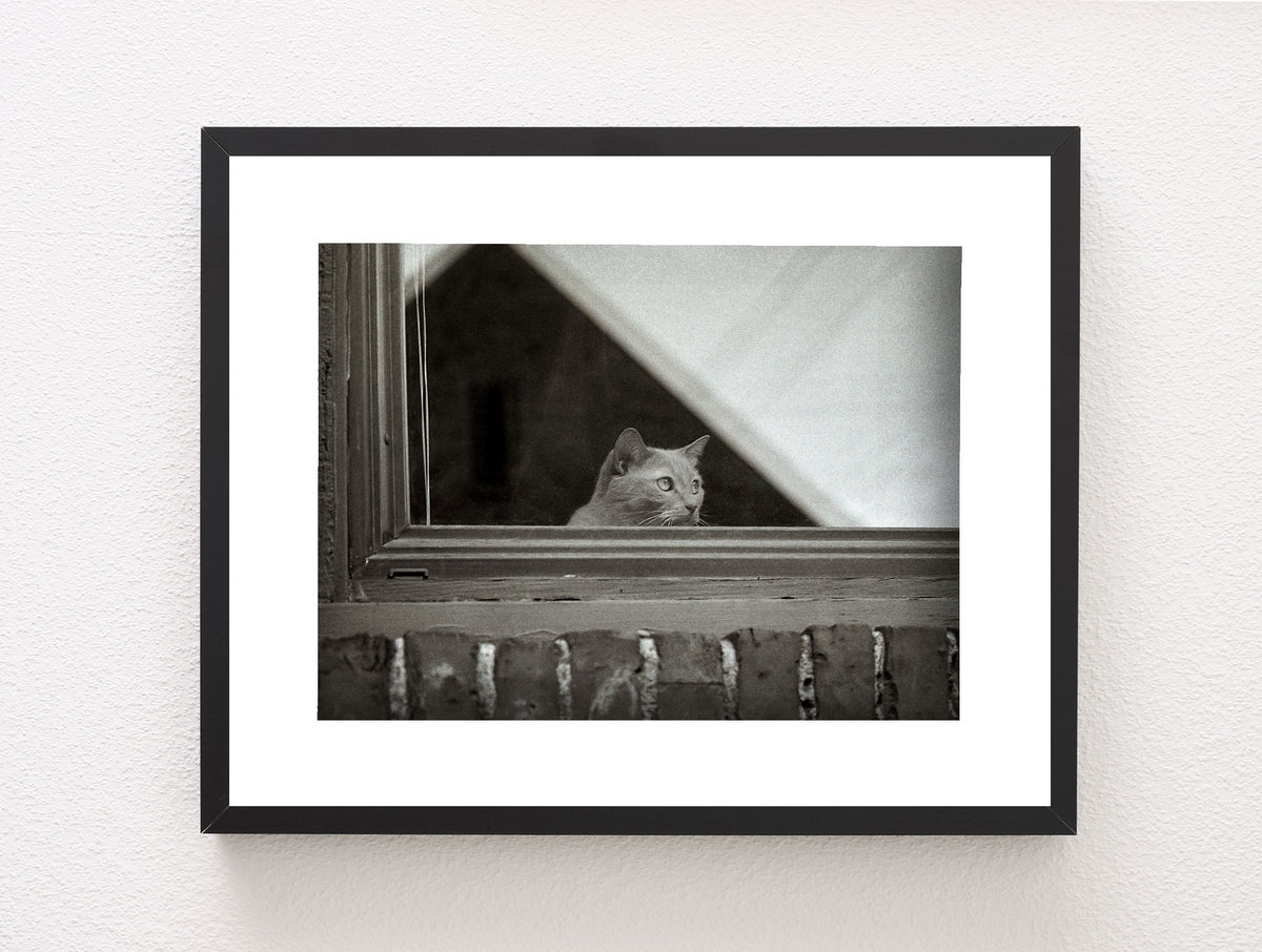 World Watcher Black and White Photo Print Spokane Washington