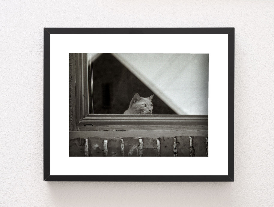 World Watcher Black and White Photo Print Spokane Washington