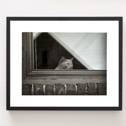 World Watcher Black and White Photo Print Spokane Washington