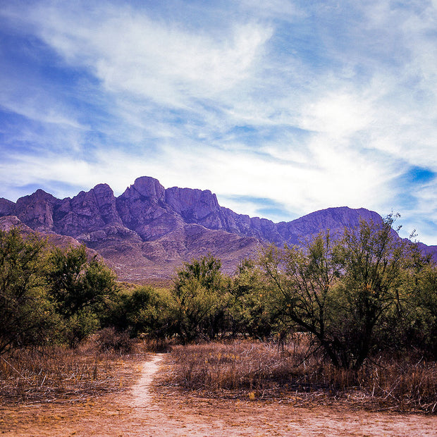 Catalina Mountains Photo Print Tucson Arizona Film