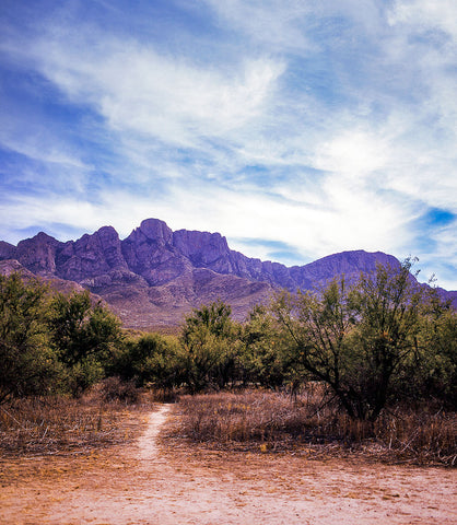 Catalina Mountains Photo Print Tucson Arizona Film