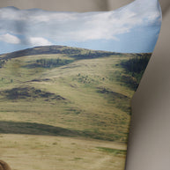 Bison Throw Pillow Cover Home On the Range Montana Decor -