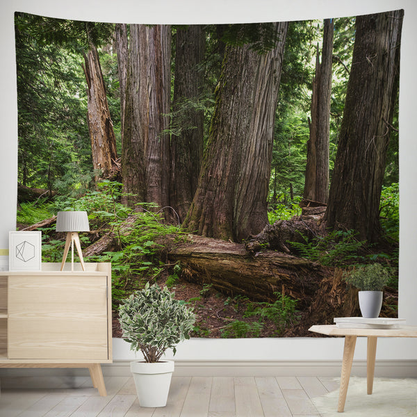 Ancient Cedar Forest Wall Tapestry - Decorative Tapestries
