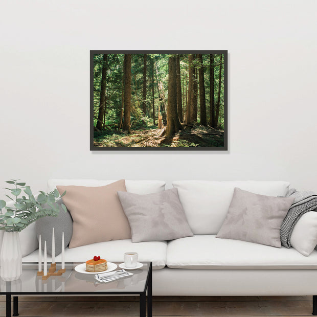 Cedar Forest Montana Photo Print Nature Photography