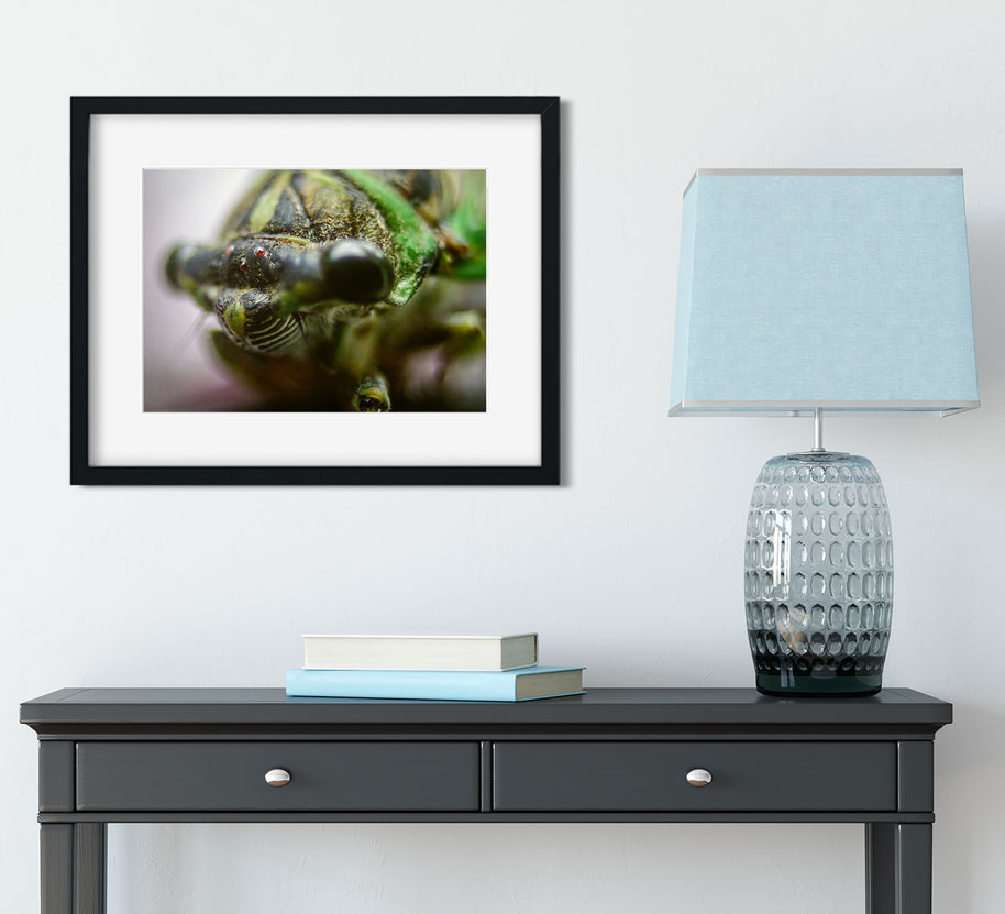 Black-framed photograph of a green cicada closeup with textured exoskeleton and black eyes from oak mountain state park