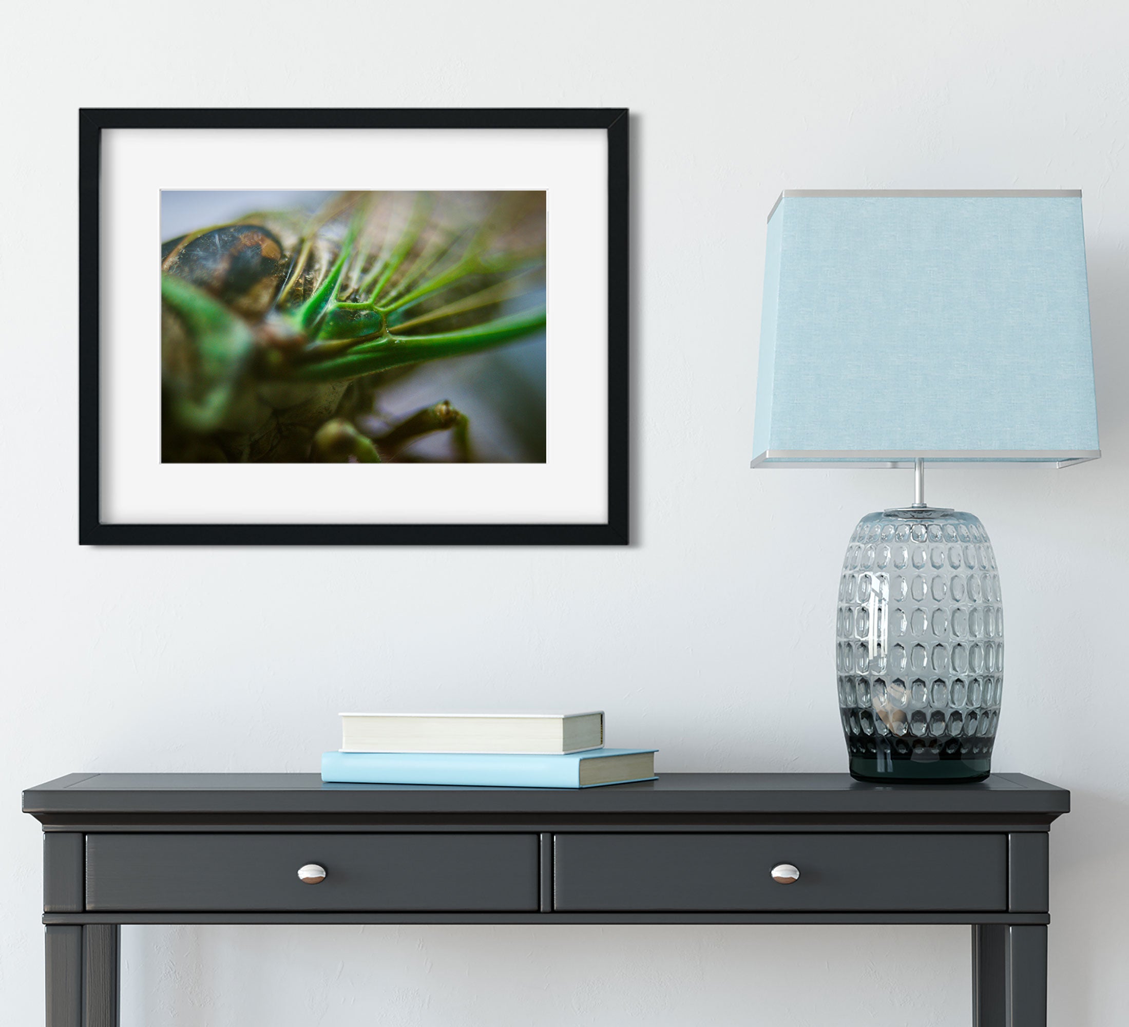 Cicada Closeup II Insect Macro Photo Print - Photography