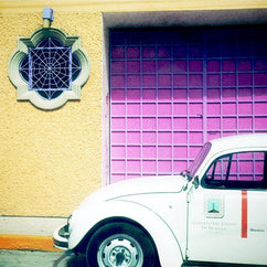 Color Bug Mexico - Lomography Photo Print - Photography