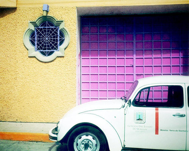 Color Bug Mexico - Lomography Photo Print - Photography