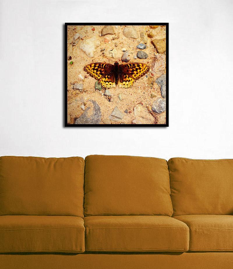 Colorado Butterfly in Riverbed, Fine Art Print Lost Kat Photography