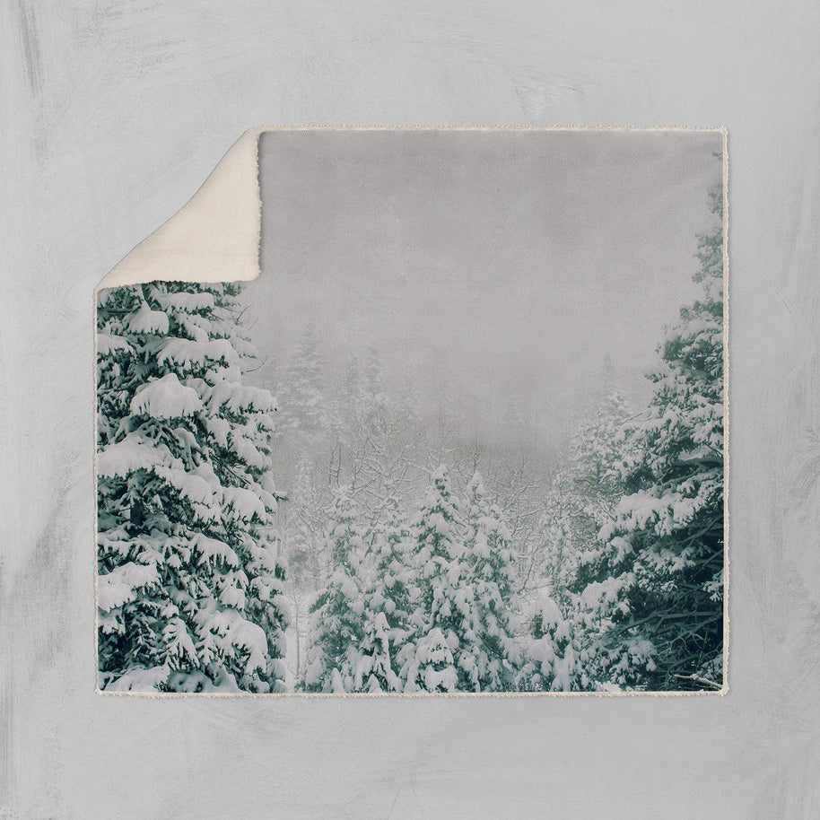 Colorado Winter Scene Sherpa Blanket Lost in Nature