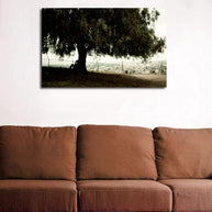 Copal-xocotl Tree, Mexico Photography Print Lost Kat Photography