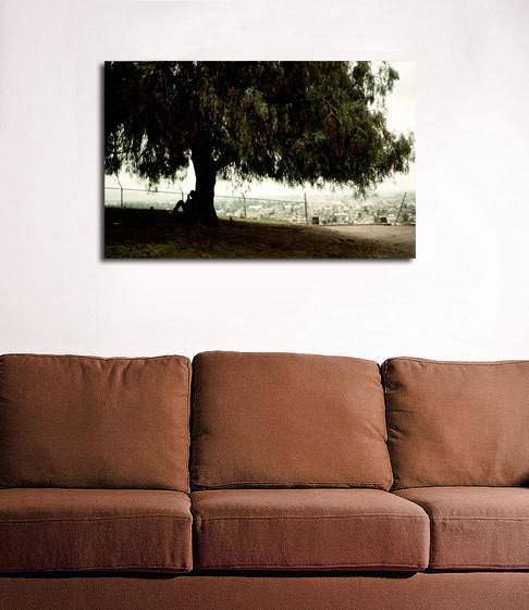 Copal-xocotl Tree, Mexico Photography Print Lost Kat Photography